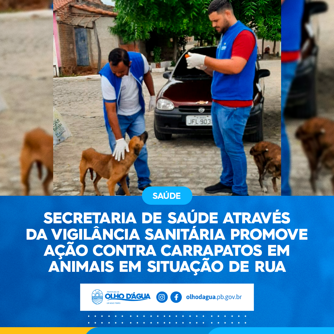 Imagem da notícia 206 - AÇÃO CONTRA CARRAPATOS EM ANIMAIS EM SITUAÇÃO DE RUA